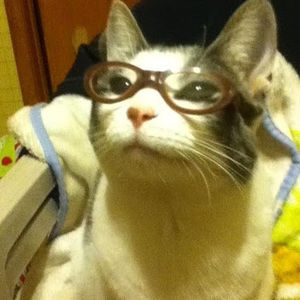 Meet your Posher, Martina